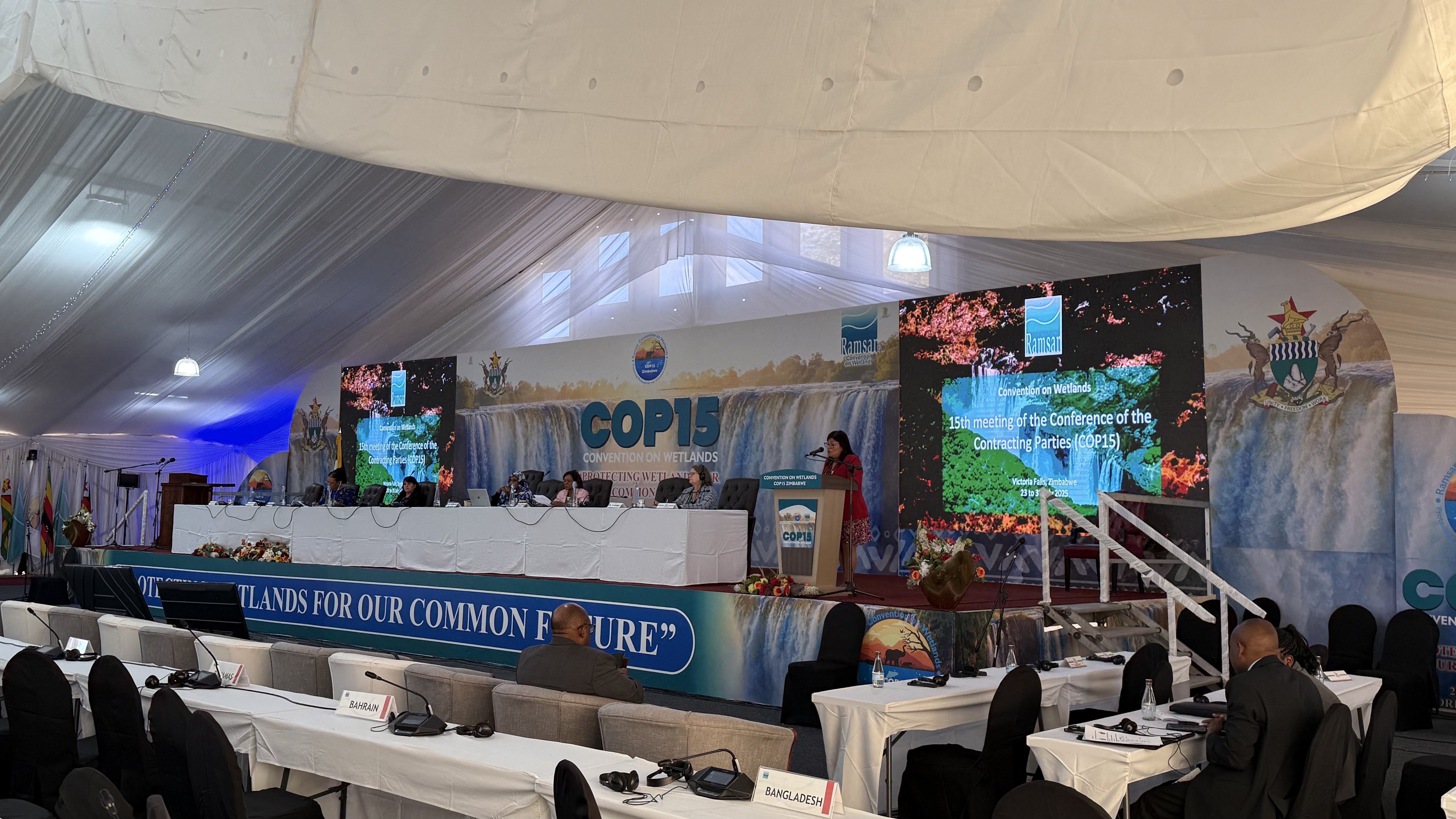 Convention on Wetlands COP15