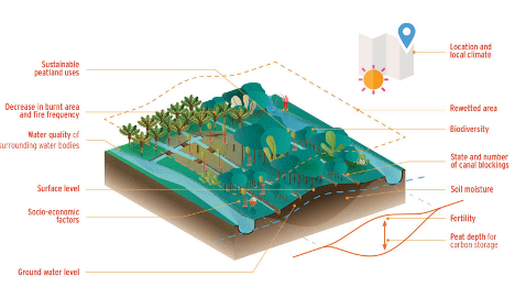 A diagram on the data needed for peatland restoration monitoring from FAO’s Peatland Mapping and Monitoring – Recommendations and Technical Overview