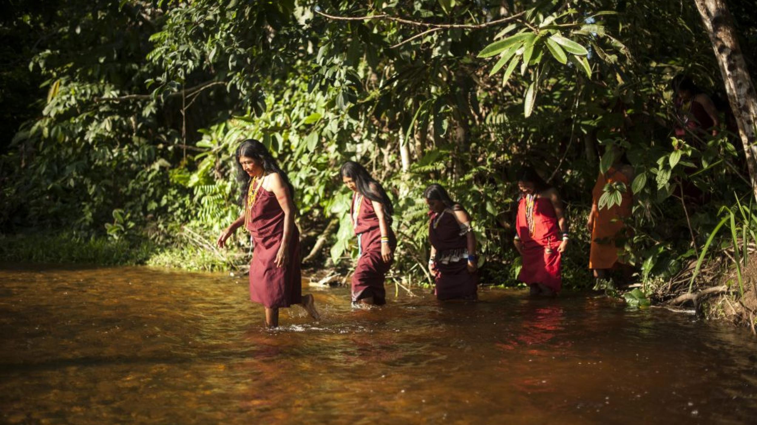 Building Resilience in the Wetlands