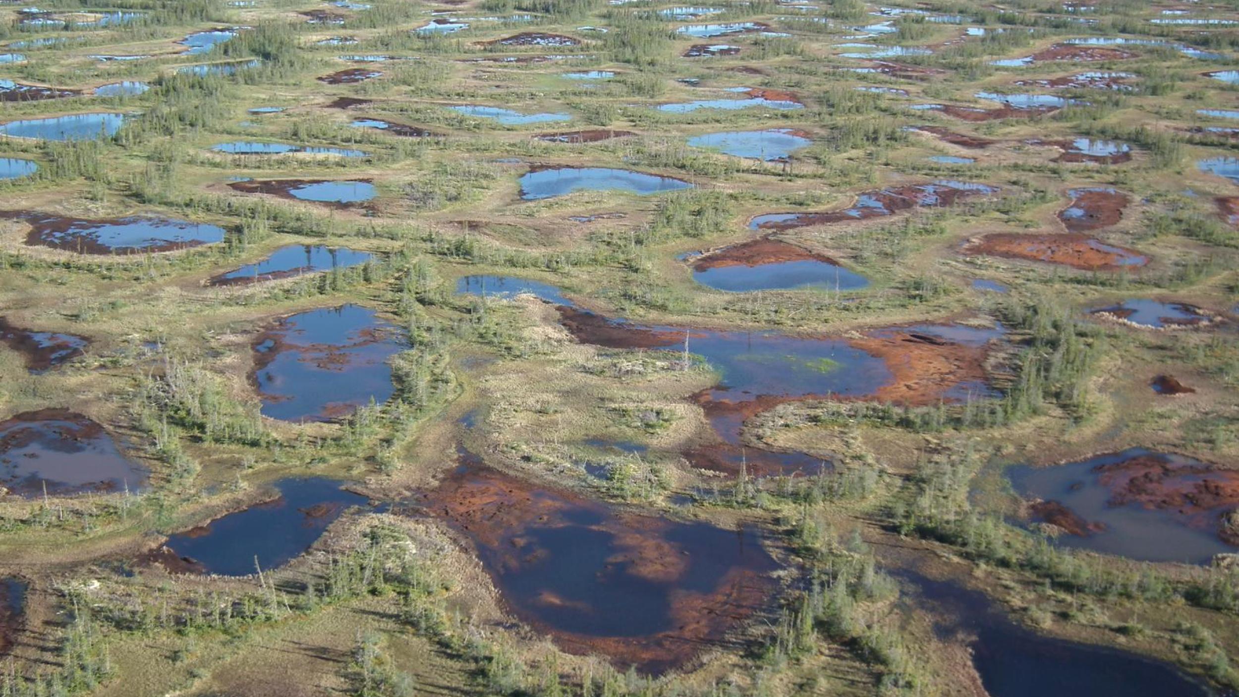 Canadian peatlands