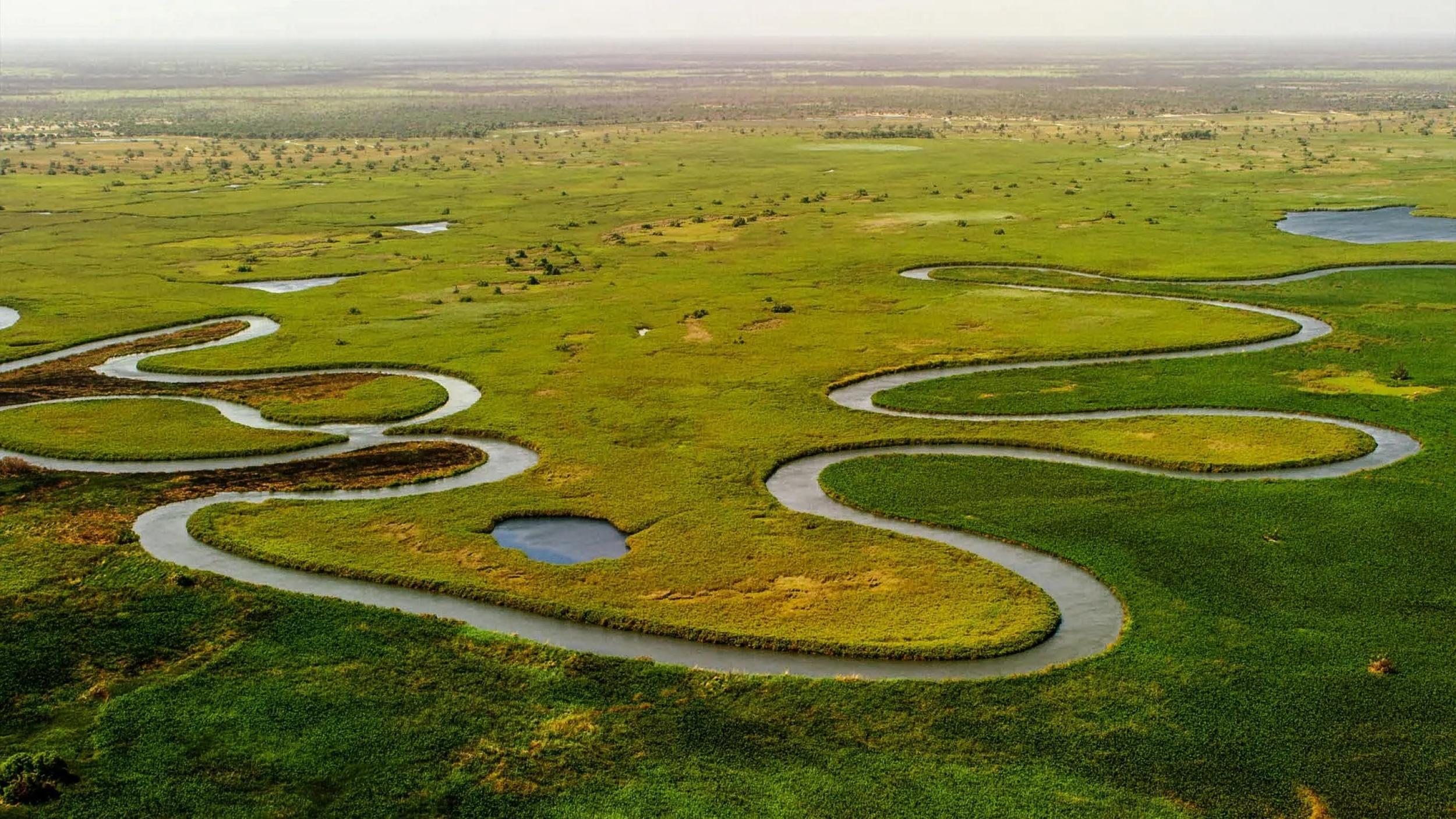 Okavango Delta, Botswana - Pixabay Okavango Delta, Botswana - Pixabay
