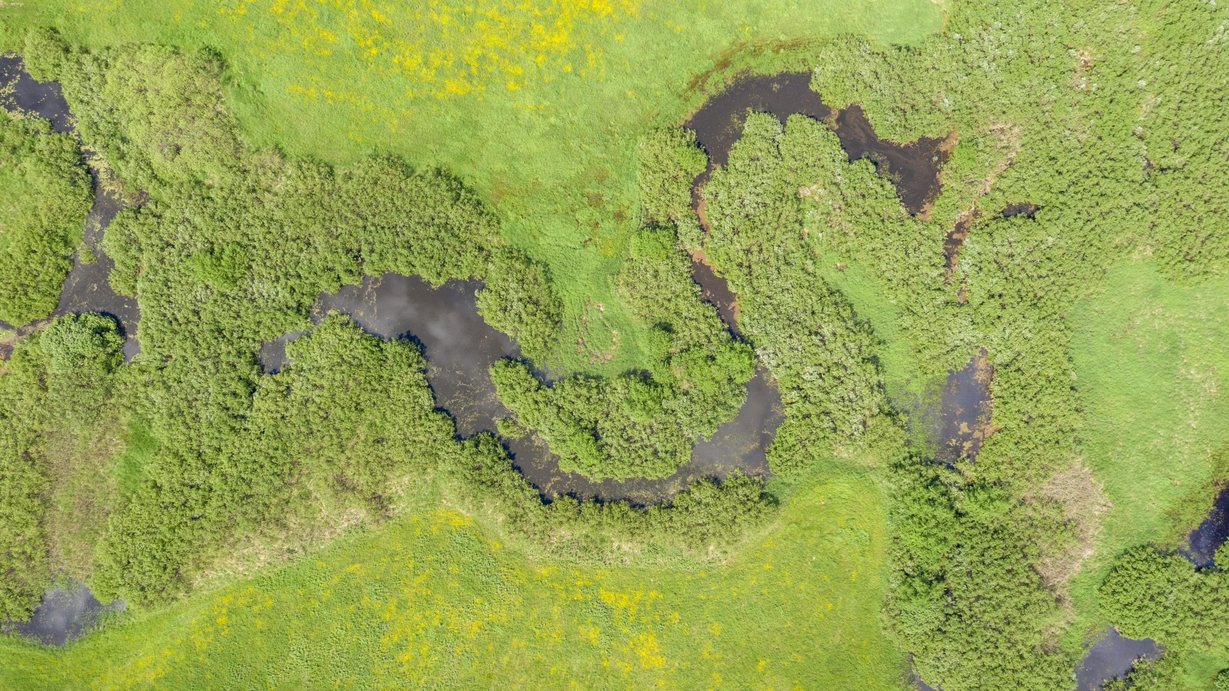 Belarus - Side stream of the Pripyat river - Kevin Feytons Belarus - Side stream of the Pripyat river - Kevin Feytons
